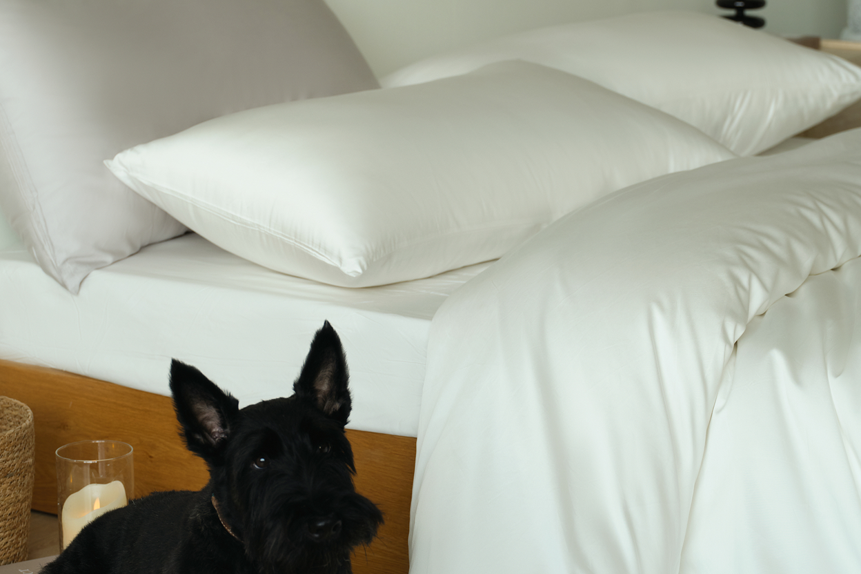 Escape the Heat: Why Zensage Home's Tencel-Cotton Blend Bedding is the Ultimate Game Changer for Hot Sleepers