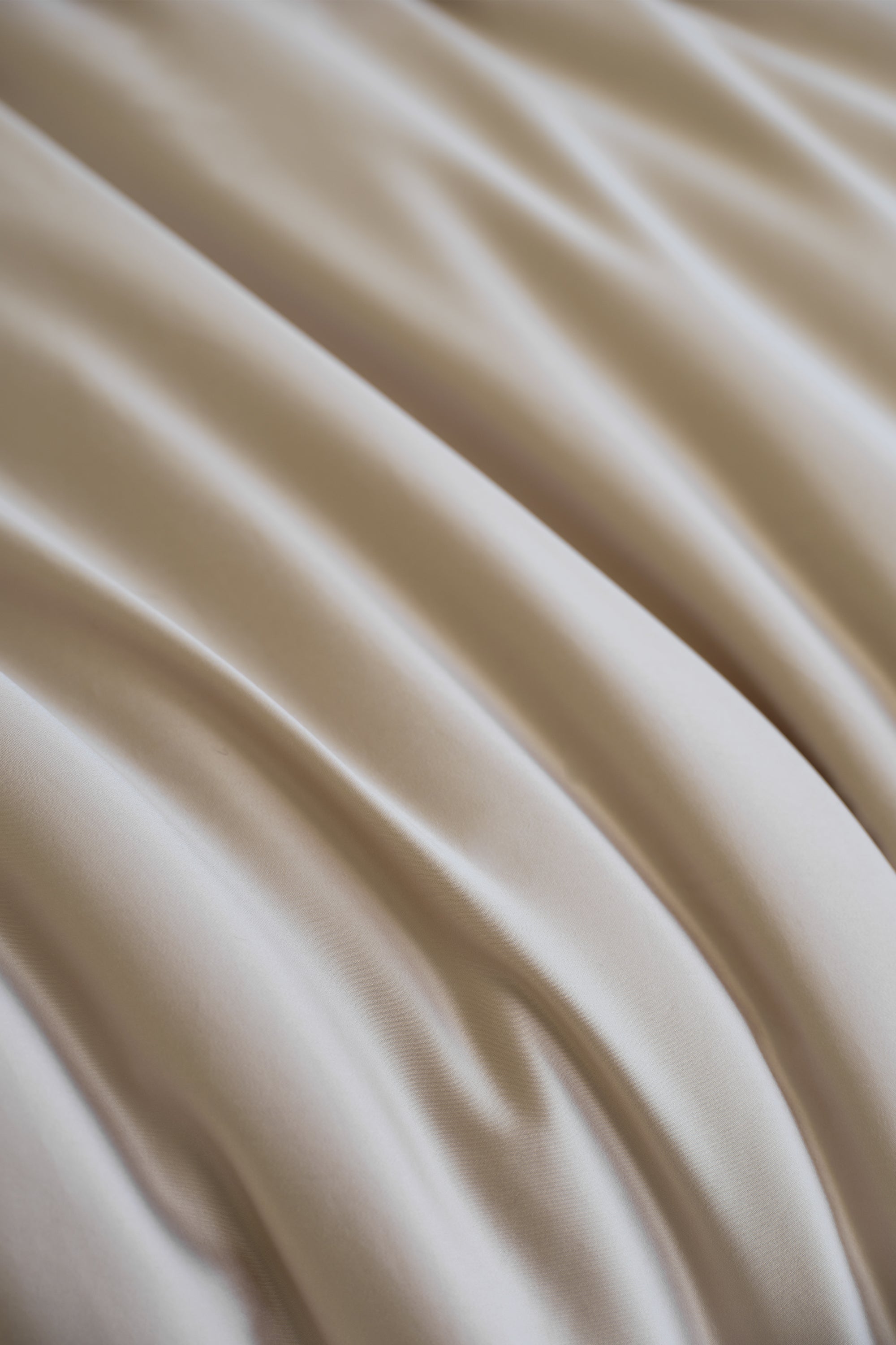 Luxe Egyptian cotton Move-in Boundle