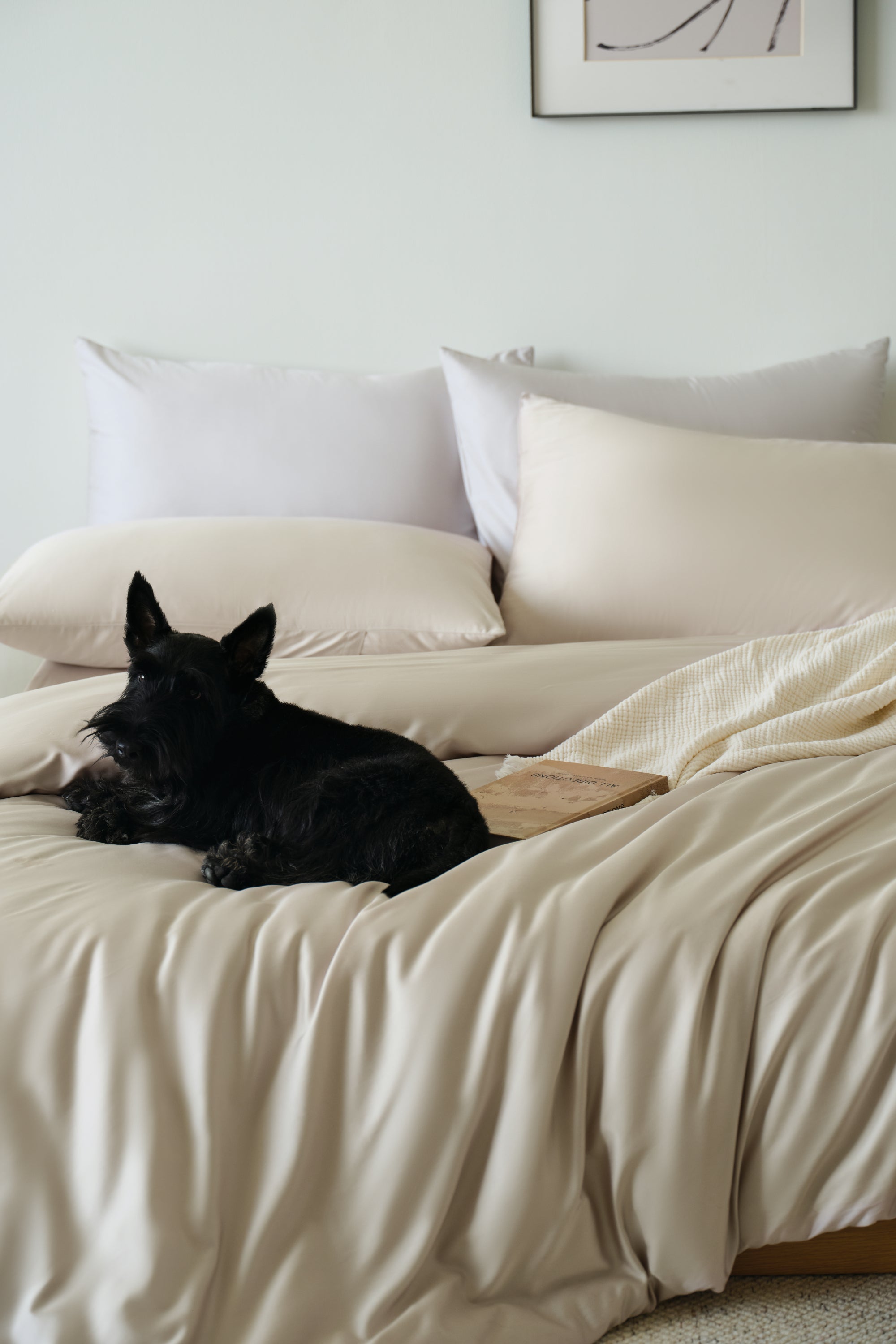 Luxe Tencel-Cotton Duvet Cover