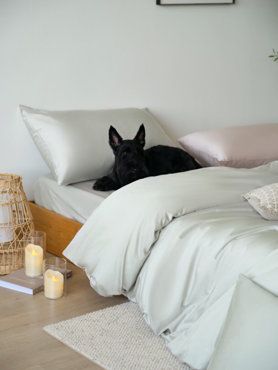 Luxe Tencel-Cotton Pillowcase (Pair)