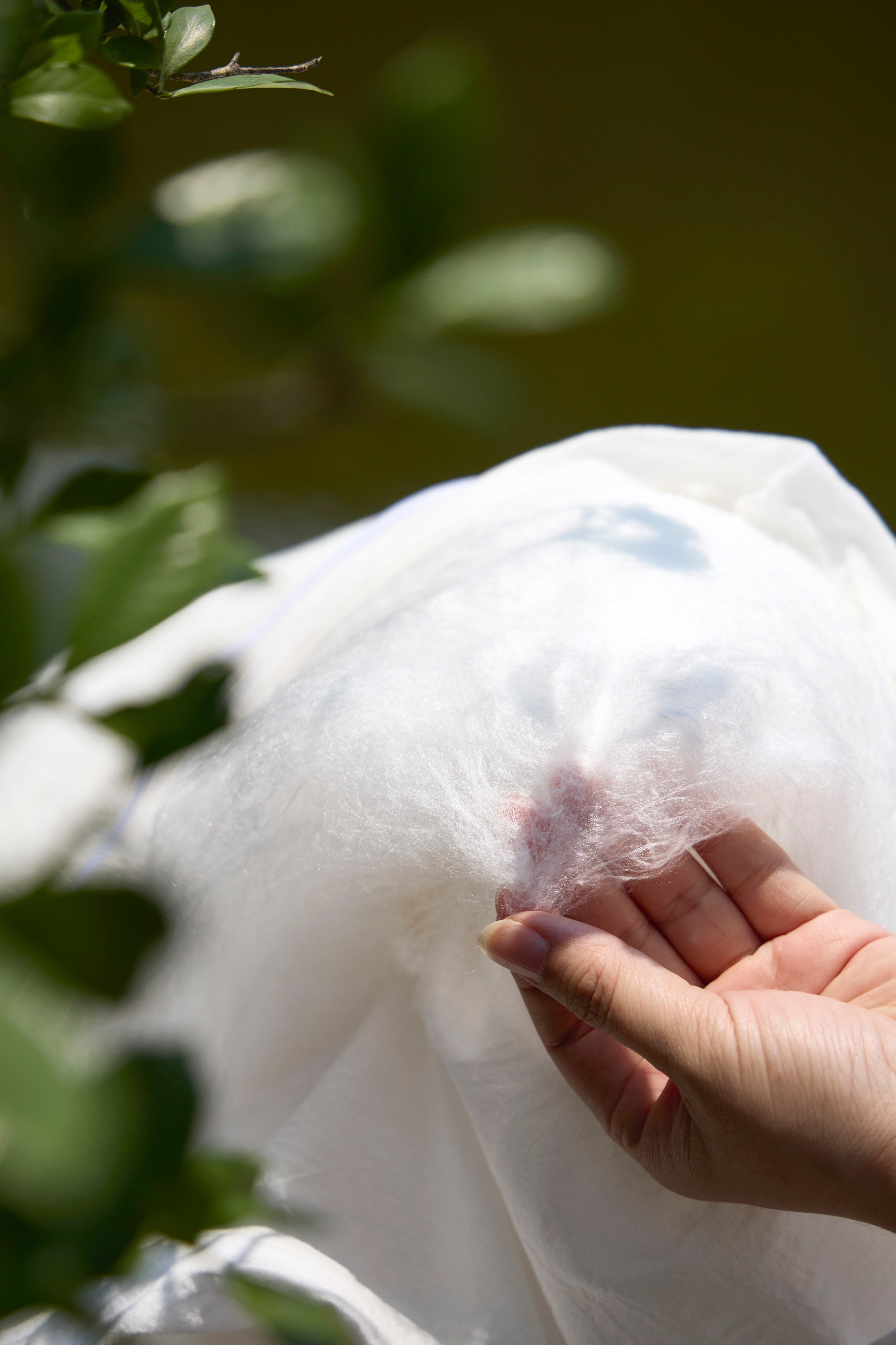 Mulberry Silk Comforter Insert