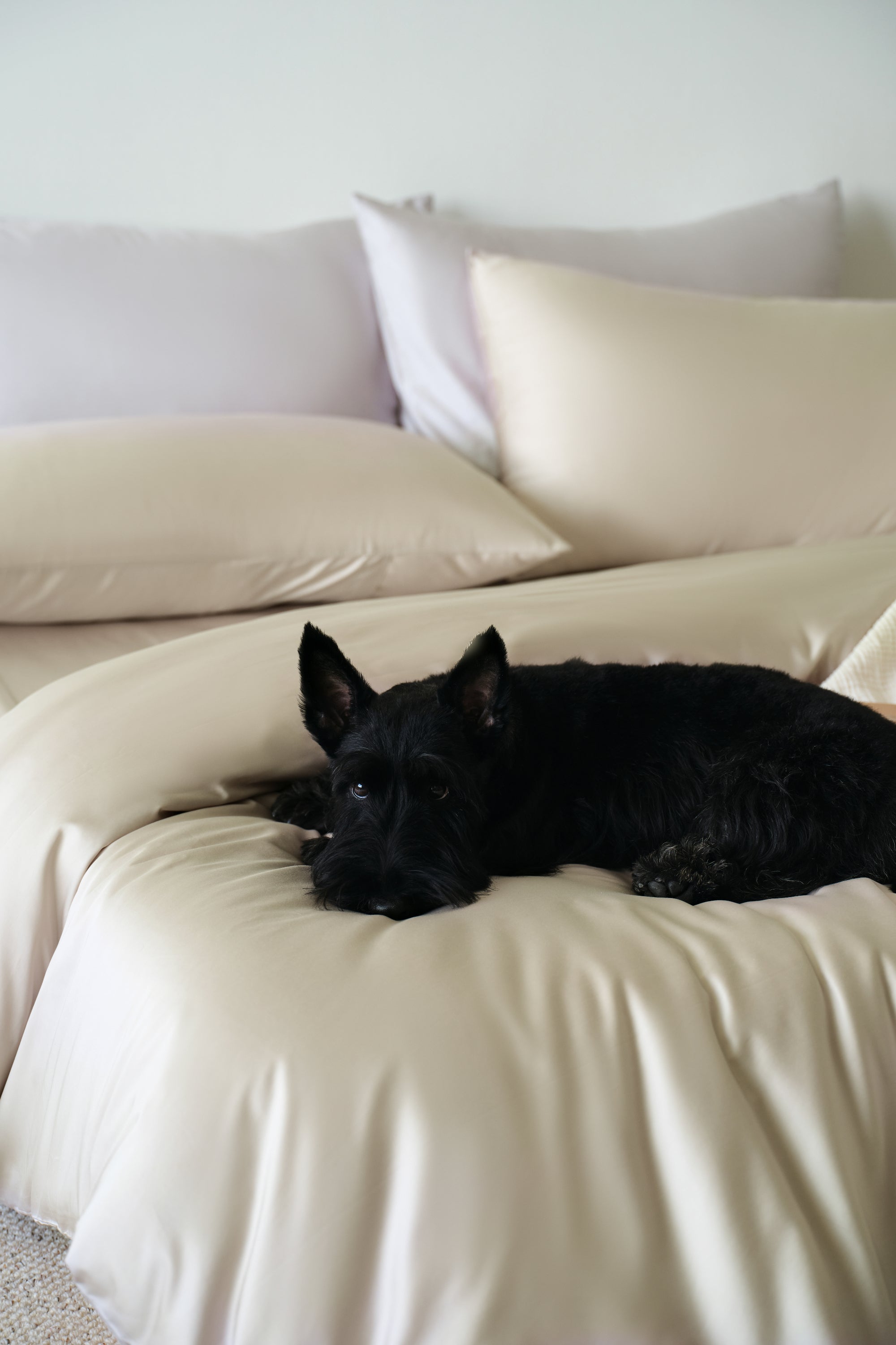 Luxe Tencel-Cotton Fitted Sheet