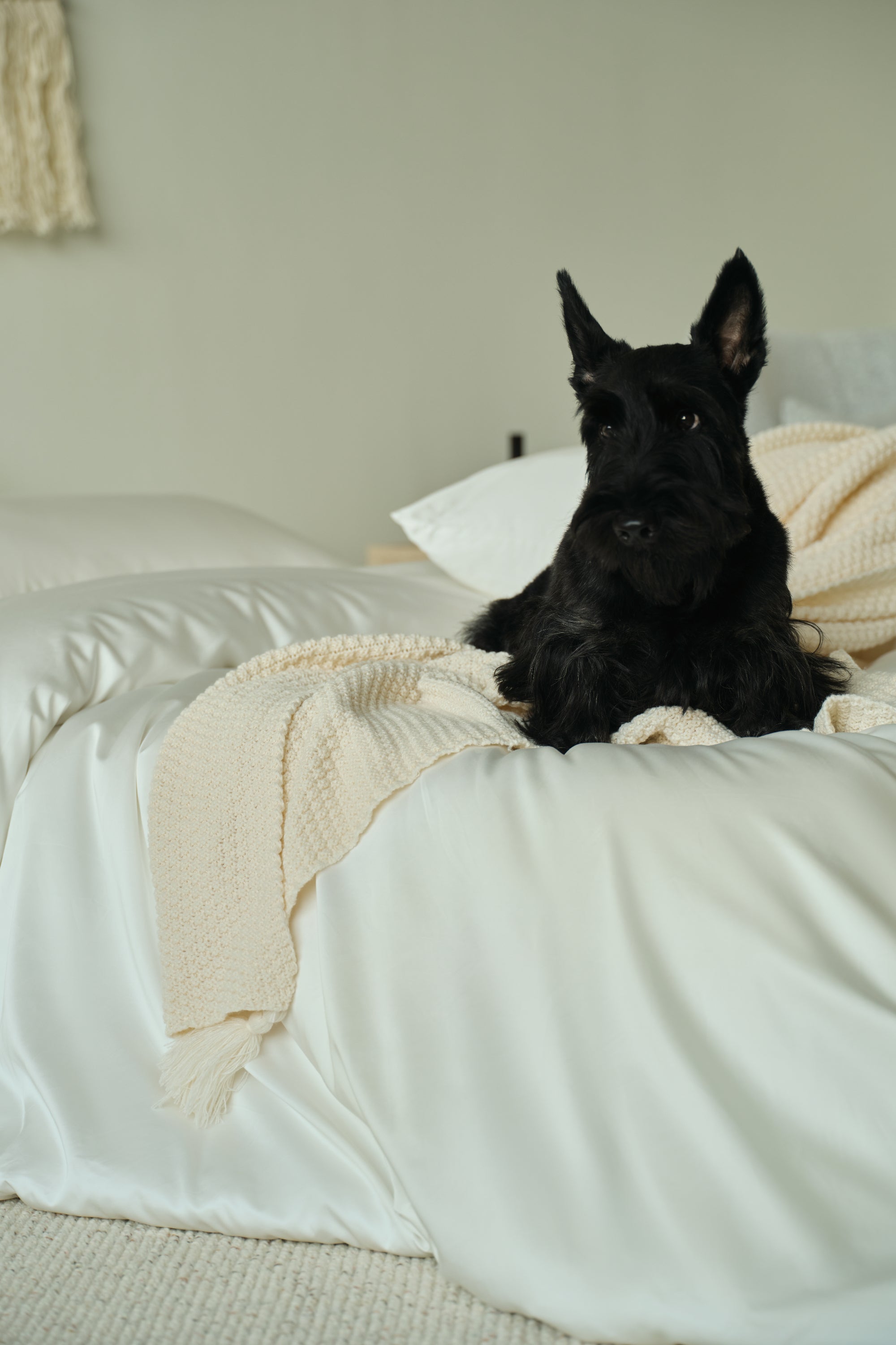 Luxe Tencel-Cotton Duvet Cover
